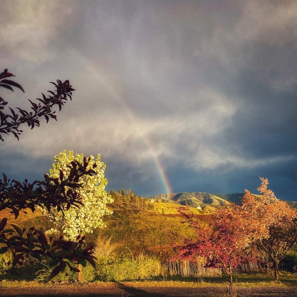 Meet your Posher, Rebecca Ball ❣️ - Picture 8 of 13